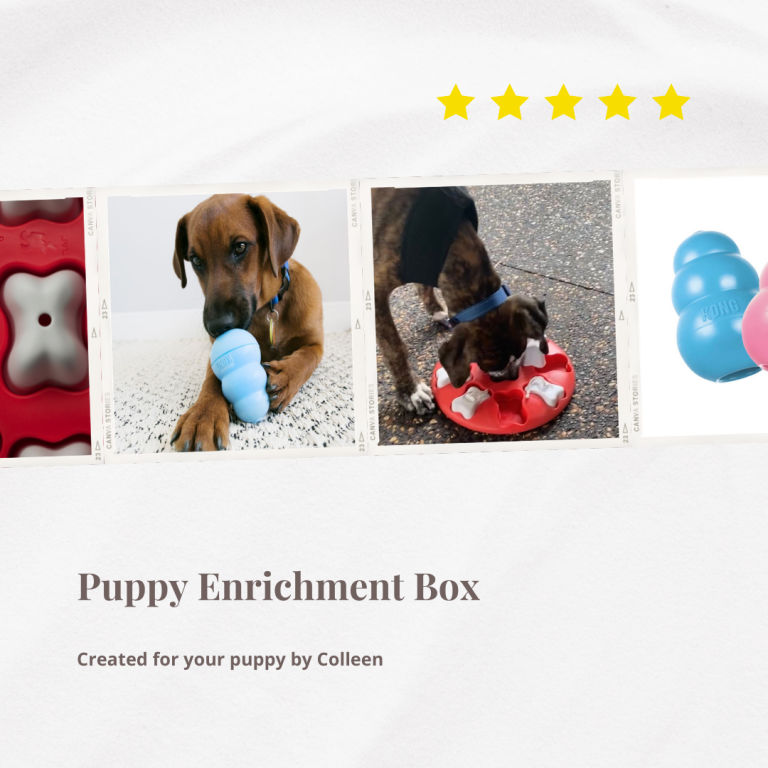 puppy-enrichment-box-manners-n-more